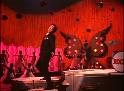 butterfly